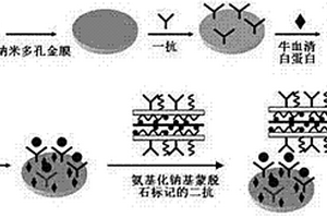 基于氨基化鈉基蒙脫石的腫瘤標(biāo)志物傳感器的制備及應(yīng)用