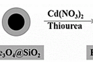 超順磁四氧化三鐵@二氧化硅@硫化鎘納米核殼結(jié)構(gòu)材料的制備方法及其用途