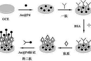 金鈀核殼材料構(gòu)建肺癌腫瘤標志物免疫傳感器制備及應(yīng)用