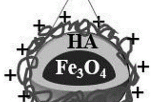 用于油水分離的Fe3O4/HA/CSMNPs及制備方法、應用