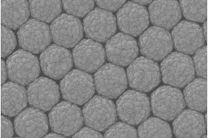 LSPR可調的Ag/Cu<sub>2</sub>S共濺射SERS活性基底及其制備方法