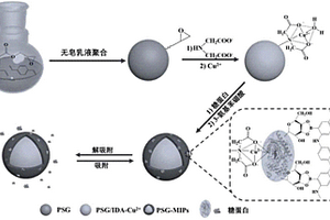 雙重識別位點(diǎn)糖蛋白表面印跡納米材料及其制備方法和應(yīng)用