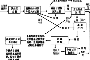 生物質(zhì)及其他多結(jié)構(gòu)體輕質(zhì)化的分解物原位定向合成與再生和循環(huán)利用的系統(tǒng)