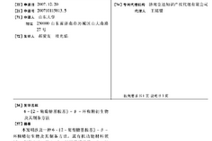 6-(2-葡萄糖基胺基)-Β-環(huán)糊精衍生物及其制備方法