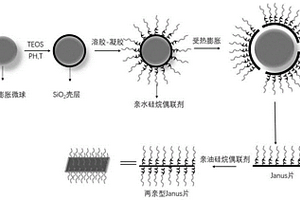 兩親Janus片狀材料及其制備方法和應(yīng)用