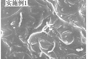 碳納米管-鋰鈦摻雜的氧化鎳復(fù)合物及其制備方法