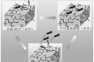 殺菌、低細(xì)菌粘附、細(xì)菌釋放的抗菌水凝膠及其制備方法和應(yīng)用