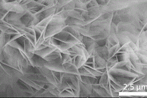 Ni(OH)<sub>2</sub>-NiTe<sub>2</sub>復(fù)合電解水催化劑的制備方法