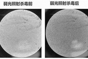 基于弱光光催化抗菌殺毒的口罩及衍生涂層材料