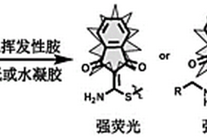 具有熒光響應(yīng)的小分子探針在制備熒光傳感器的應(yīng)用及基于其的熒光傳感器