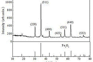 超高飽和磁化強度Fe<sub>3</sub>O<sub>4</sub>納米顆粒及其磁性流體的制備方法