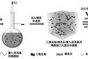 光熱轉(zhuǎn)換水凝膠的制備方法及應(yīng)用