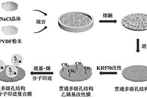 貫通多級(jí)孔結(jié)構(gòu)雙酚A分子印跡復(fù)合膜的制備方法及應(yīng)用