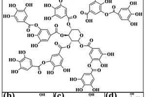 茶水-雞蛋膜復(fù)合材料的綠色制備方法及其用途