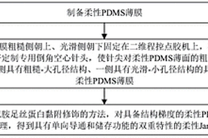 具有雙重特性的柔性Janus多孔表面的制備方法及其應(yīng)用