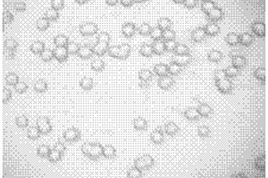 疏水親油高分子復(fù)合微球的制備方法