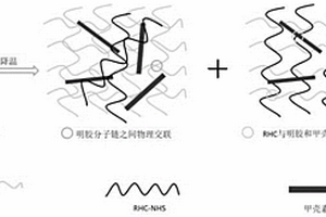 重組膠原蛋白水凝膠3D打印墨水及其應(yīng)用