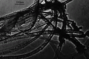 納米金-碳納米管復(fù)合材料的制備方法及其在電催化中的應(yīng)用