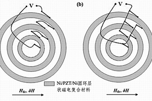 可控多諧振頻率的磁電復(fù)合材料結(jié)構(gòu)及其制備方法