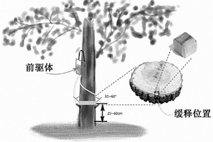 誘導活立木產生木材/無機納米復合材料的方法