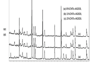 碳納米管-氧化鋁復(fù)合材料及其制備方法