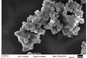 用于污泥脫水的鐵硅生物酶磁性復合材料及合成方法