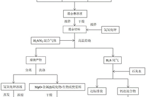 氧化鎂-金屬硫化物-生物質(zhì)炭復(fù)合材料及其制備方法和應(yīng)用