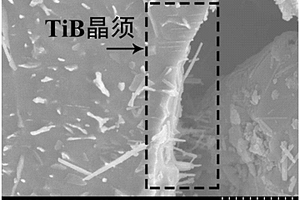 定向排布TiB晶須增強(qiáng)鈦基復(fù)合材料的制備方法