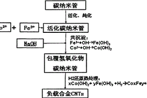 表面負(fù)載磁性合金粒子碳納米管復(fù)合材料的制備方法