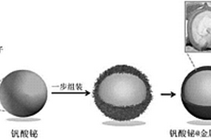 利用核桃青皮粗提液制備釩酸鉍@金屬-多酚配合物核殼結(jié)構(gòu)復(fù)合材料的制備方法