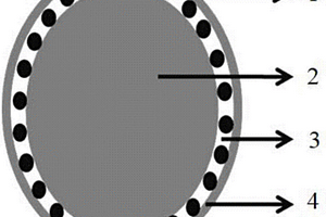 雙殼層結(jié)構(gòu)復(fù)合材料、其制備方法及包含該復(fù)合材料的鋰離子電池