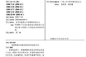 耐醇解尼龍復(fù)合材料及其制備方法