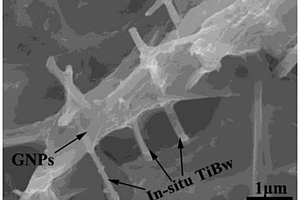 GNPs和TiBw協(xié)同增強鈦基復(fù)合材料及其制備方法