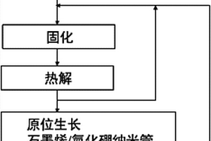 PIP結(jié)合原位生長石墨烯/氮化硼納米管陶瓷基復(fù)合材料致密化方法