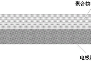 聚合物電解質(zhì)-電極復(fù)合材料及其制備方法和應(yīng)用