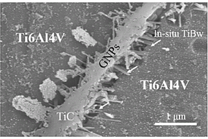 定向生長TiBw強(qiáng)化GNPs/Ti復(fù)合材料界面結(jié)合的方法