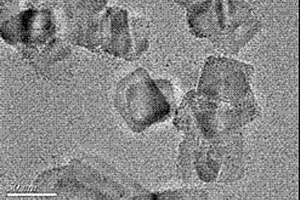 負(fù)載CYP119酶的CeO<sub>2</sub>和TiO<sub>2</sub>復(fù)合材料粉體及制備