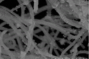 BiFeO<Sub>3</Sub>-MoO<Sub>2</Sub>復(fù)合材料及其制備方法和應(yīng)用