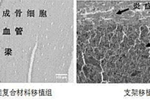 用于軟骨損傷修復(fù)的細(xì)胞?支架復(fù)合材料制備方法及應(yīng)用