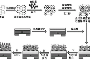 基于納米復合材料的LAPS傳感器檢測GPC3方法