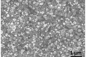 金屬相MoS<sub>2</sub>-CoNi(OH)<sub>2</sub>納米復(fù)合材料及其制備方法和應(yīng)用