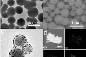 功能化Fe<sub>3</sub>O<sub>4</sub>/Au納米復(fù)合材料的制備方法及其在真菌毒素檢測(cè)的應(yīng)用