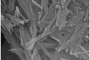 Cu-凹凸棒石-NH<sub>2</sub>復(fù)合材料的制備方法及其在吸附放射性水體中碘離子中的應(yīng)用