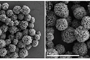 Fe<Sub>3</Sub>O<Sub>4</Sub>/Ni/N-RGO太陽(yáng)能電池高效電極的復(fù)合材料及其制備方法