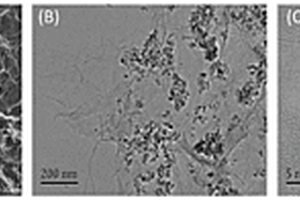 3D-rGO/Fe<sub>3</sub>O<sub>4</sub>-AuNPs/HP-β-CD復(fù)合材料的制備方法和應(yīng)用