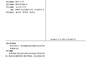 納米四氧化三鐵包覆碳納米管磁性復(fù)合材料的制備方法