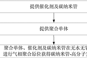 碳納米管-高分子復(fù)合材料的氣相聚合生產(chǎn)方法及裝置