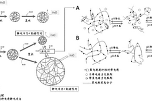 具有環(huán)境響應細菌納米纖維素復合材料及其制備方法和應用