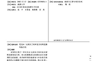 尼龍6/無機粒子納米復(fù)合材料直接制備方法