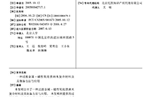 過渡金屬-磁性氧化鐵納米復(fù)合材料及其制備方法與應(yīng)用